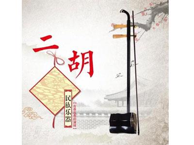 招聘海口二胡家教老师